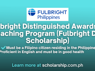 Fulbright DAI Scholarship 2024