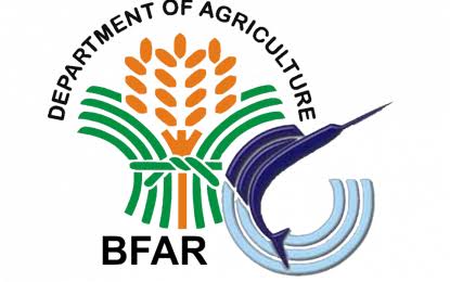 BFAR FCEG Scholarship- BFAR Logo

